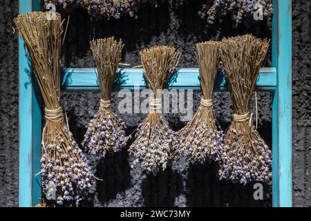 Bunches of dried lavender hanging on blue wooden rack Stock Photo