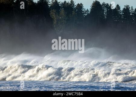 WA23968-00...WASHINGTON - Spindrift on wind blown waves near James Island from Rialto Beach in Olympic National Park. Stock Photo