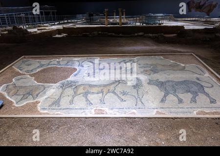 Harran Gate mosaic, 5-6 century A.D. Sanliurfa Stock Photo