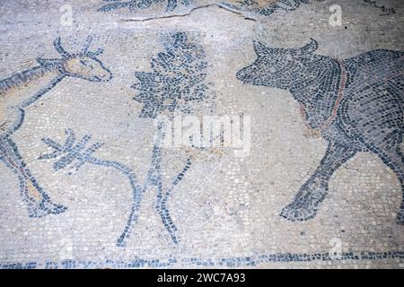 Harran Gate mosaic, 5-6 century A.D. Sanliurfa. fragment Stock Photo