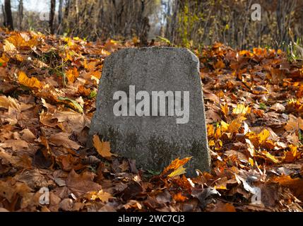 RIP, Rest in Peace text on gravestone, burial stone at old graveyard in autumn Stock Photo