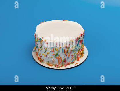 White blank bento cake top, miniature dessert, sweet confection decorated with colorful sprinkles Stock Photo