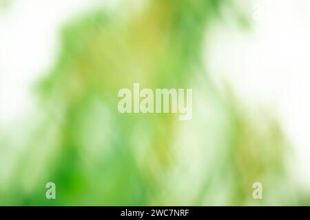 Colorful watercolor beautiful abstract blurred design background. Blurred watercolor fluid vivid multicolor vibrant bokeh wallpaper. Stock Photo