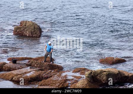 The barnacles use a scraper to collect the barnacles that are stuck to ...
