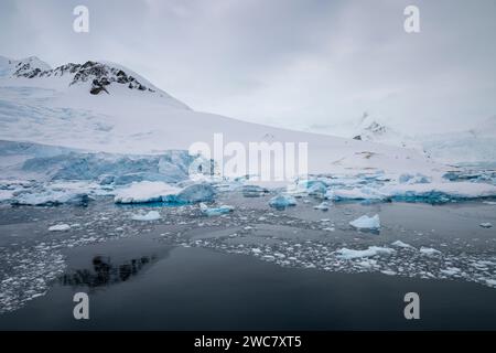 Neko Harbor, Antarctica, ice filled water, icebergs, glaciers calving more ice, breeding colony for Gentoo Penguins, surrounded by snow capped peaks Stock Photo