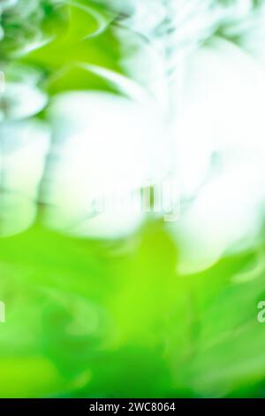 Green abstract multi colored light trail vortex. Fresh green lights moving in circular pattern. Stock Photo