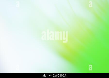 Fresh green grass blurred background. Amazing green plants blurred greenery background Stock Photo
