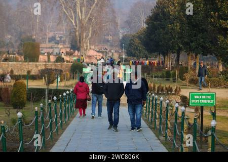 Srinagar Kashmir, India. 14th Jan, 2024. Tourists walk at the Nishat Garden in Srinagar. The Kashmir valley is experiencing a prolonged dry spell during this harshest period of winter 'Chillai Kalan' posing the threat not only to the agriculture sector but apprehensions of spreading of various diseases due to drought. The huge flow of tourists this season from different parts of the world are however concerned as the Valley is not witnessing any snowfall. On January 14, 2024, Srinagar Kashmir, India. (Credit Image: © Firdous Nazir/eyepix via ZUMA Press Wire) EDITORIAL USAGE ONLY! Not for Comm Stock Photo