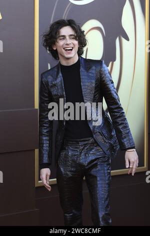 Wonka Los Angeles Premiere at the Village Theater on December 9, 2023 in Westwood, CA Featuring: Timothee Chalamet Where: Westwood, California, United States When: 09 Dec 2023 Credit: Nicky Nelson/WENN Stock Photo