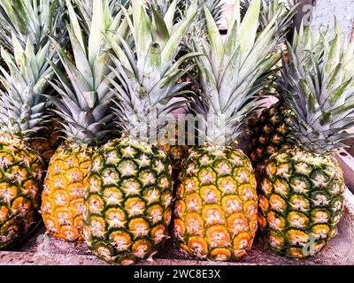 Front view of bunch Pineapple on table. Fruits or healthcare concept. Stock Photo