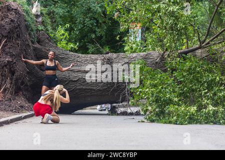 Atlanta, GA / USA - July 15, 2023: Women take turns shooting smartphone photos in front of an enormous fallen tree that was uprooted during a storm. Stock Photo