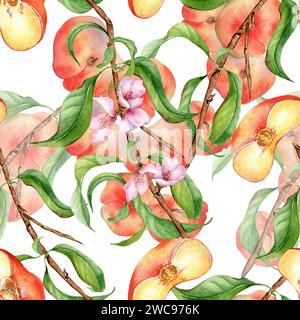 Watercolor branch of peach tree with fruit and flowers seamless pattern isolated on white. Fig peaches and leaves painted. Chines peaches hand drawn. Stock Photo