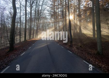 A dark road stretching out into the distance, bordered by trees on either side Stock Photo