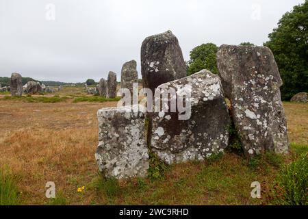 The Carnac stones are an exceptionally dense collection of megalithic sites around the village of Carnac in Brittany, consisting of alignments, dolmen Stock Photo