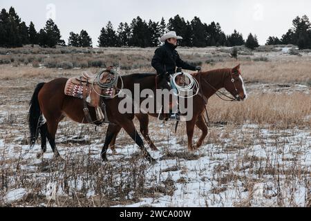 Cowboy joyfully rides, searching for christmas tree Stock Photo