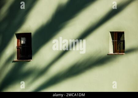 Palm tree shadows on the facades of the old town Stock Photo