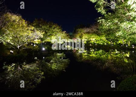 Illumination in the park with reflections, mirroring and lights in the dark Stock Photo