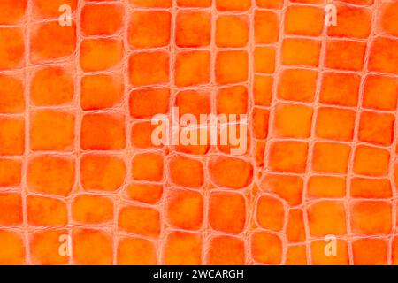 Texture of genuine patent leather close-up, golden color, skin reptile, trendy background Stock Photo