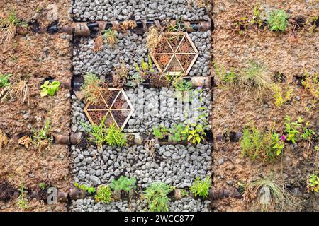 Ecofriendly wall made of loam and clay with plants and insect hotels Stock Photo