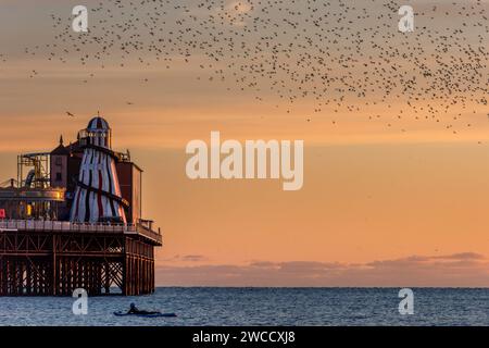 Brighton, January 15th 2024: Starlings murmurating off the coast of Brighton at sunset before roosting beneath the Palace Pier for the night Stock Photo