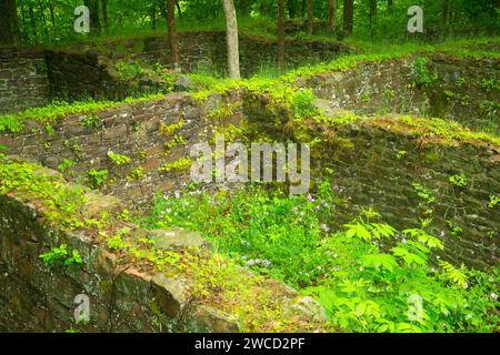 Lehigh Tannery ruins, Lehigh Gorge State Park, Pennsylvania Stock Photo