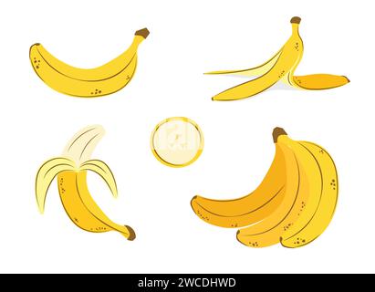 Cartoon banana drawing set. Bunch of bananas and banana peel. Vector hand drawn illustration in a trendy style. Line, contour. Stock Vector