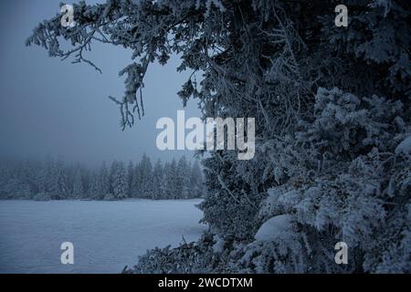 Märchenlandschaft am gefrorenen Etang de la Gruere in den jurassischen Freibergen Stock Photo