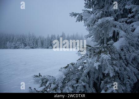 Märchenlandschaft am gefrorenen Etang de la Gruere in den jurassischen Freibergen Stock Photo