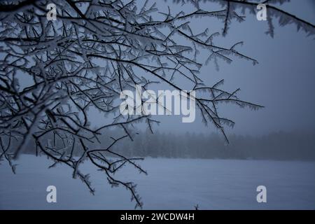 Märchenlandschaft am gefrorenen Etang de la Gruere in den jurassischen Freibergen Stock Photo