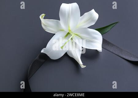 Beautiful lily flower with funeral ribbon on black background Stock Photo