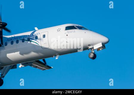 De Havilland canada Dash 8 300 in Air New Zealand livery taking off from Wellington Airport on a fine sunny day. ZK-NER Stock Photo