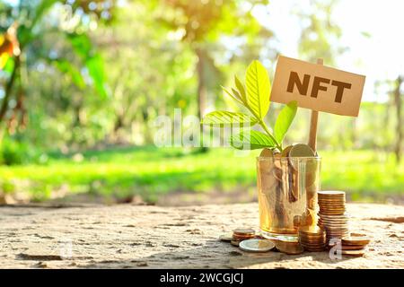Invest on NFT or non-fungible token cryptocurrency concept. Jar of coins with growing plant at sunrise. Stock Photo