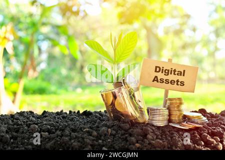 Invest on cryptocurrency digital assets concept. Jar of coins with growing plant at sunrise. Stock Photo