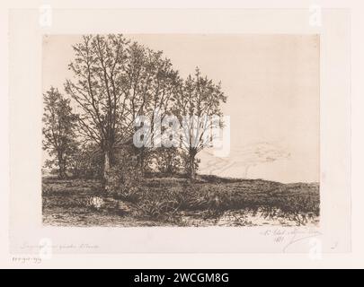 Landscape with four willows and a stream, Alfred Elsen, 1881 print   paper etching landscapes. trees: willow. brook Stock Photo