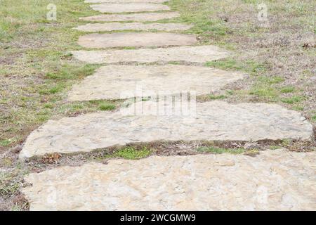 A scenic stone pathway meandering through a lush green meadow Stock Photo