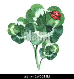 Four-leaf clover. Watercolor illustration isolated on white background. Saint St Patrick Day Shamrock good luck symbol. For decoration, flyers, design Stock Photo