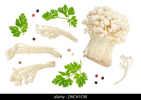 Enoki mushroom, Golden needle mushroom isolated in white background . Top view. Flat lay Stock Photo