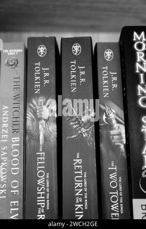 A collection of various books neatly arranged on a shelf, with one book placed on top of the others Stock Photo