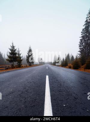 Asphalt road and green forest scenery Stock Photo - Alamy