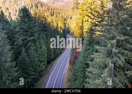Winding asphalt road in the mountains between green forest from aerial view. Stock Photo
