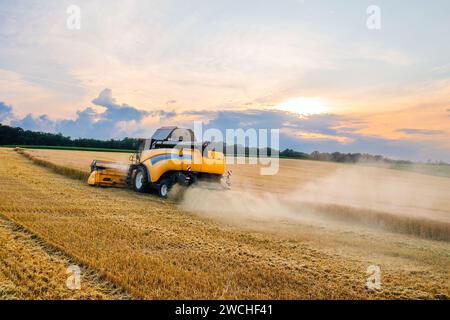 BERLIN , GERMANY - JULY 15 2023: Modern combine reaper and ripe wheat in agricultural field at sunset aerial view. Rural landscape with operating straw chopper machine at countryside Stock Photo