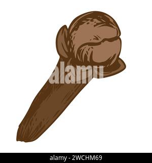 Handmade clove spice. Vector aromatic ingredient in engraving style. Dried bud, flower of the clove tree. Seasoning drawn in ink on a white background Stock Vector