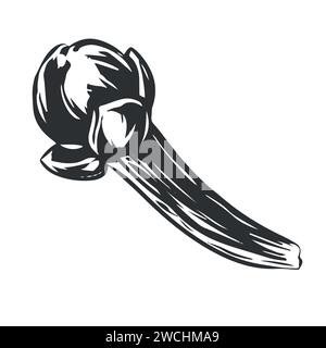 Handmade clove spice. Vector aromatic ingredient in engraving style. Dried bud, flower of the clove tree. Seasoning drawn in ink on a white background Stock Vector