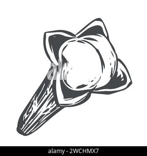 Handmade clove spice. Vector aromatic ingredient in engraving style. Dried bud, flower of the clove tree. Seasoning drawn in ink on a white background Stock Vector
