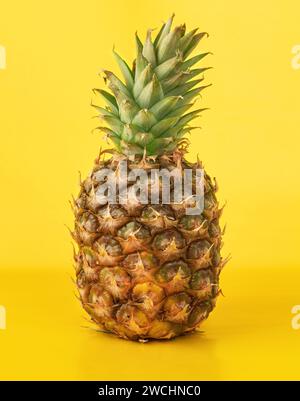 Whole pineapple on yellow background. Stock Photo