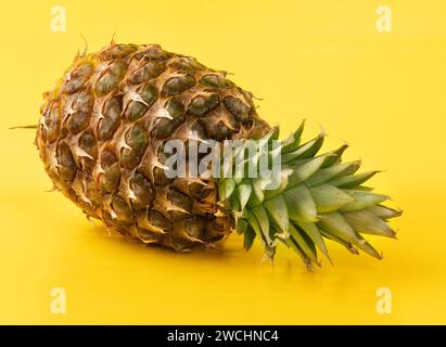 Whole pineapple on yellow background. Stock Photo