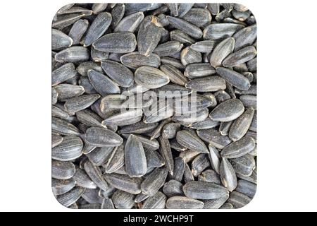 Sunflower seeds in a close-up Stock Photo