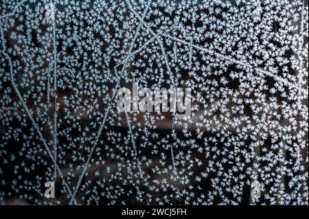 ice flowers on the window - Abstraction Stock Photo