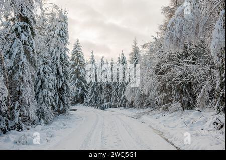 Snow Landscape in Bavaria, Germany Stock Photo
