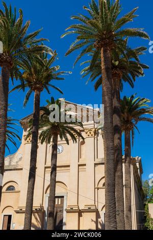 Ile Rousse, Corsica, 2017. Place Pascal Paoli, date palms (Phoenix canariensis) stand tall in front of the Immaculée Conception church (vertical) Stock Photo